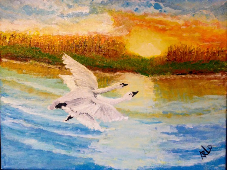 Morning flight