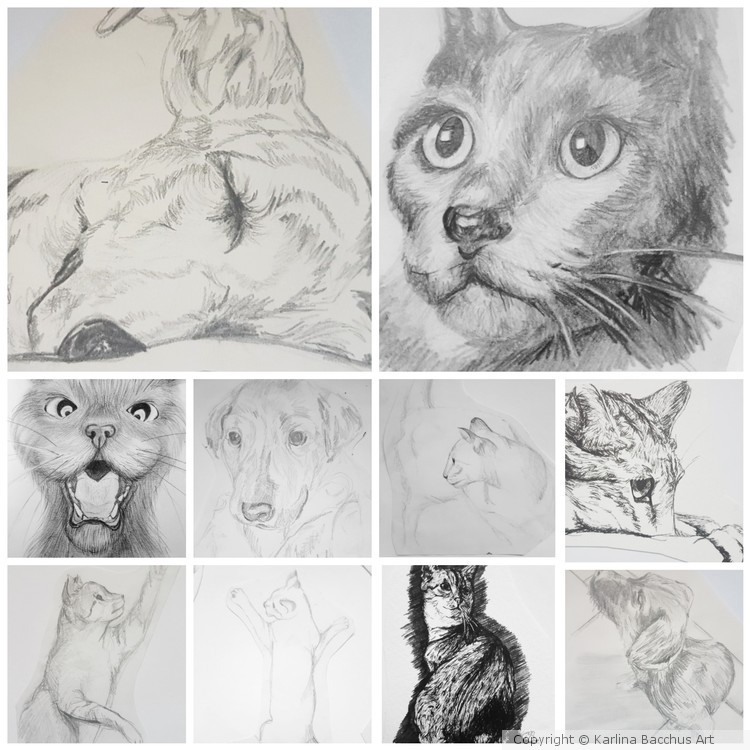Animal Sketches Collection