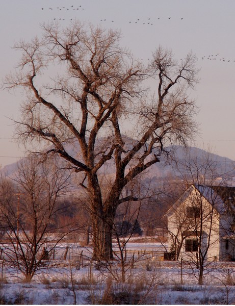 Hygiene Farm House
