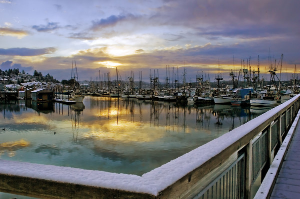 Snowy Docks