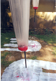 How to make the invisible red water visible ?