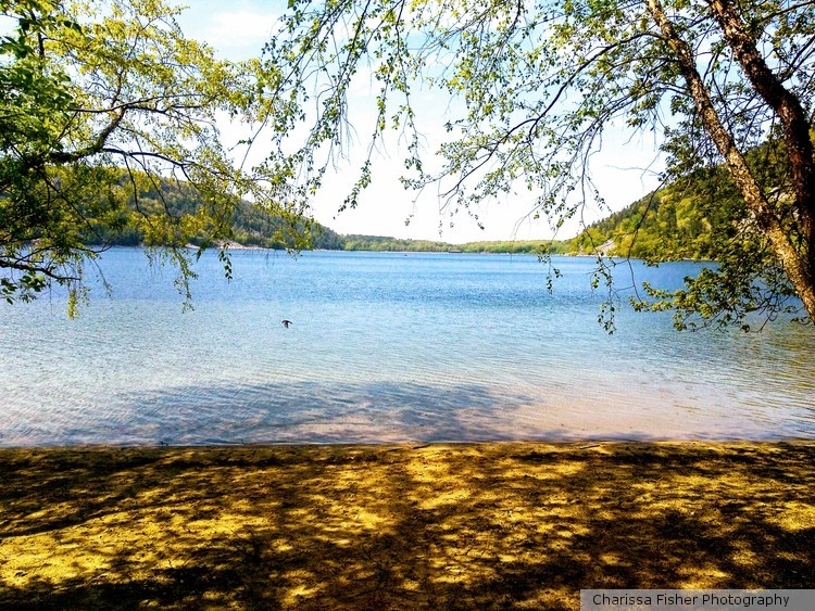Serenity