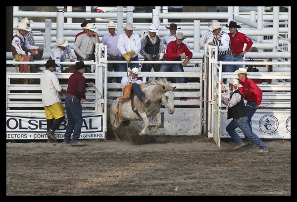 Chute
