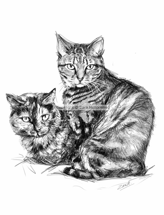 Two Cats