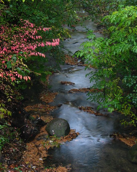 Trout Valley Creek