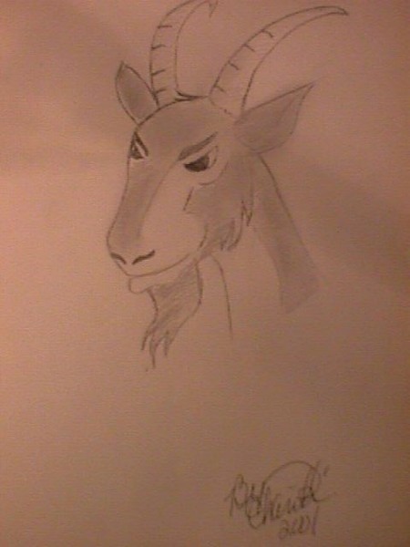 A Ram