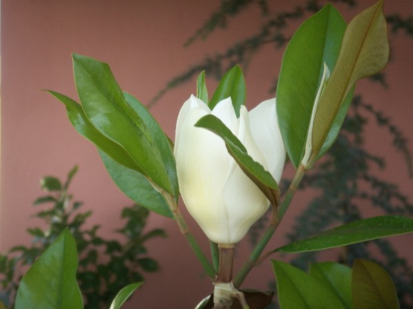 Innocent nature.....