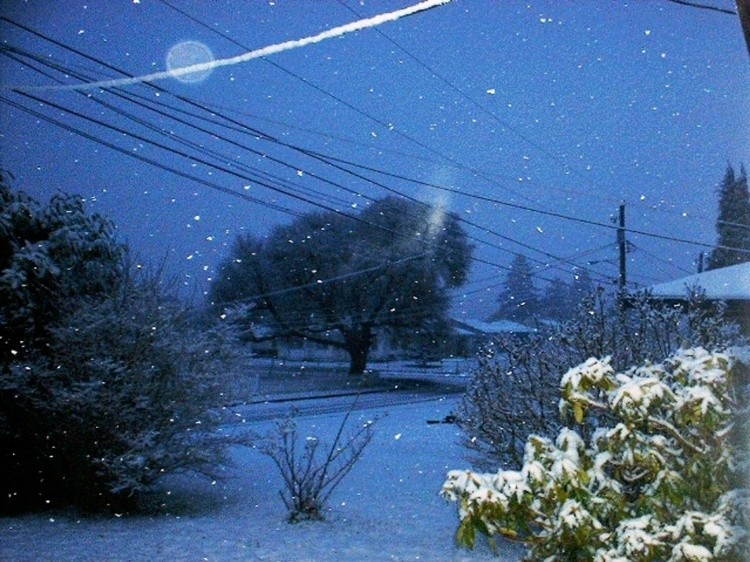 Snow yard wonder