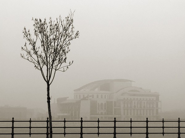 Misty Culture
