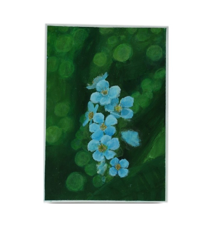 Appleblossoms
