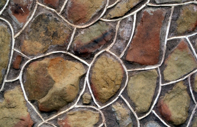Picture 239(1)