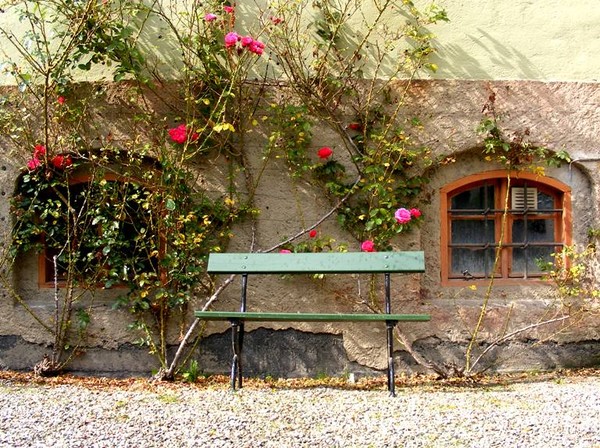 green Bench