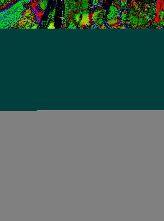 IMG 20210420 151731