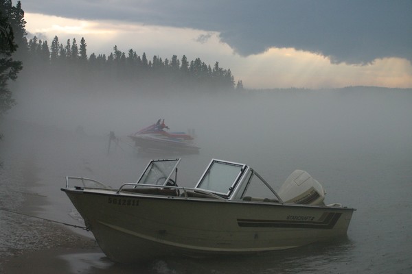 Into the Fog