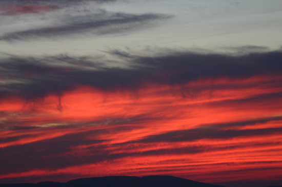 redsky
