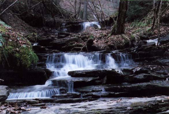 Waterfalls from the Canyon