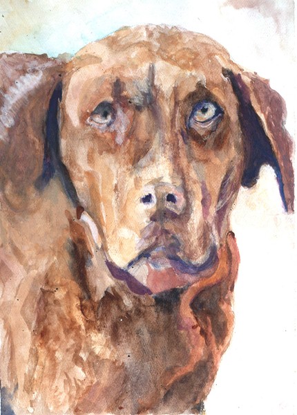 Mocha