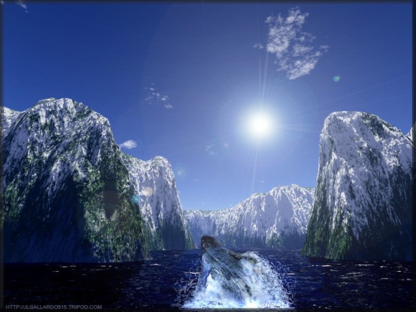 Whale Sanctuary
