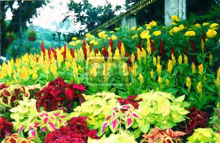 Flower Garden