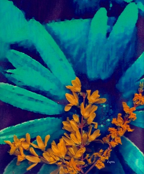 Beautiful Palette