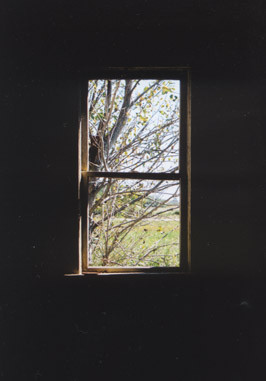 Perpetual View