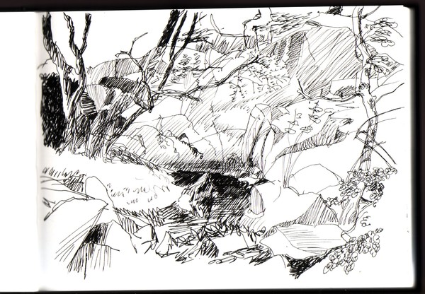 rocks and pool
