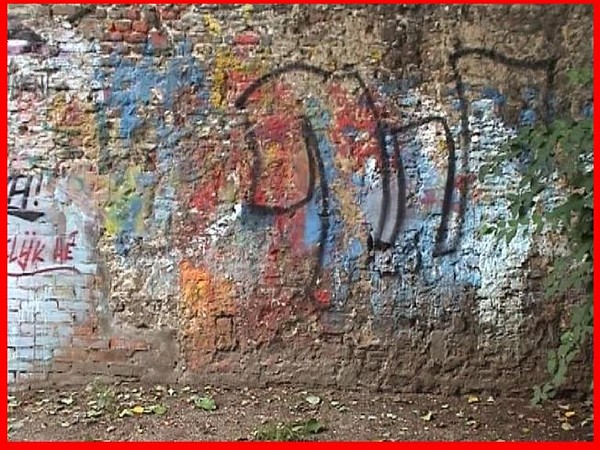 The Wall of Many Colours