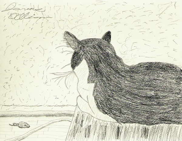 Chester On The Hunt