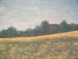 Summer Countryside