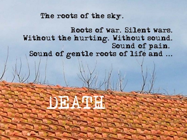 Roots of the Sky