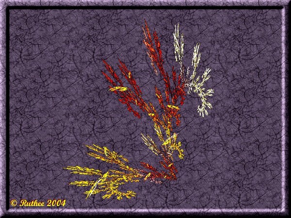 Feathers Bush