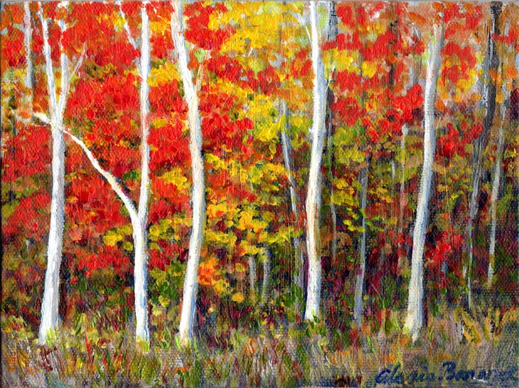 Autumn Color