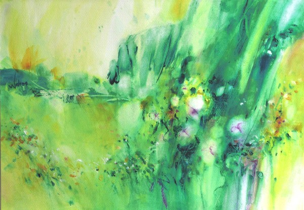 morning glory