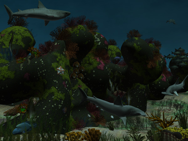 Along The reef