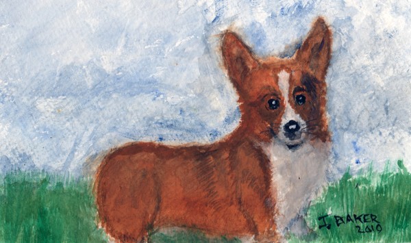 Corgi