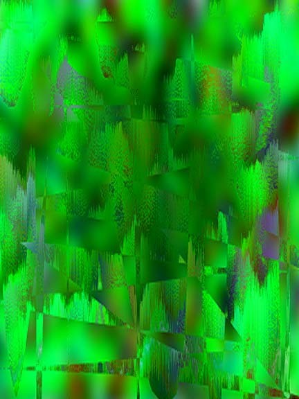 in the forrest