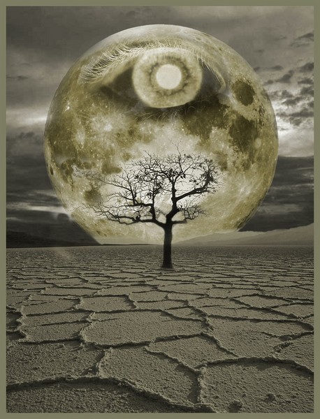 The Watcher