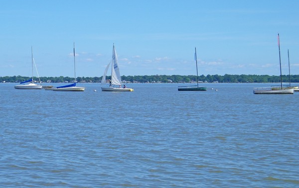 Sailboats