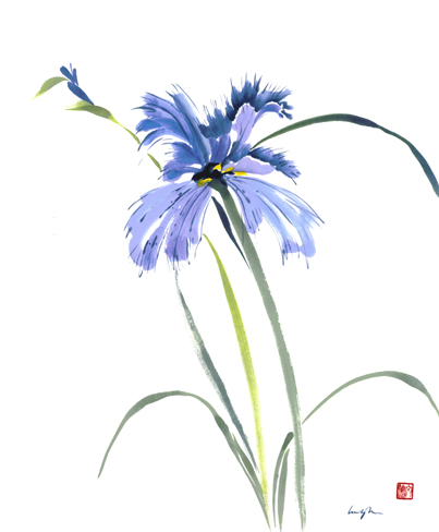Blue Iris