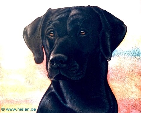 Balou