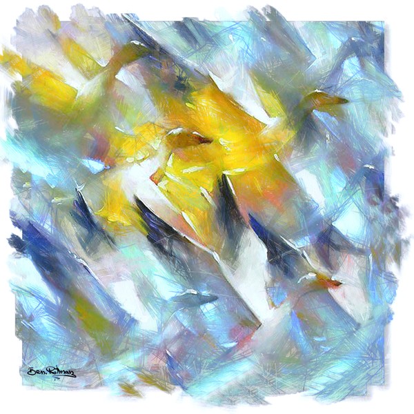 0118=Flight to freedom copy