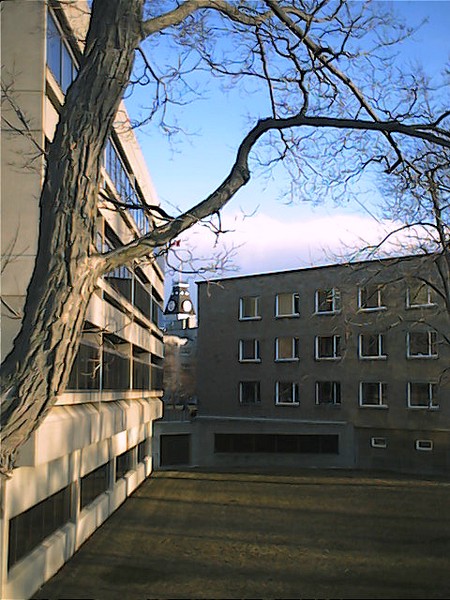 Mackenzie Tower