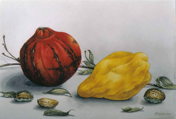 pomegranate cycle III.