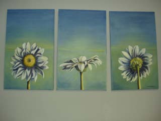 Daisy Trio