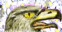 eagle
