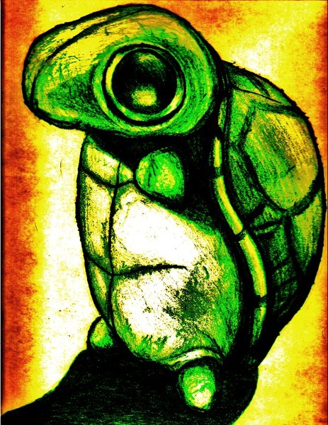 CuteTurtle
