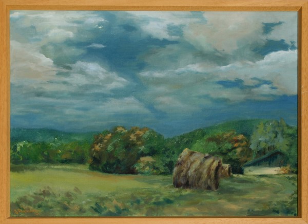 Summer on the Semerink