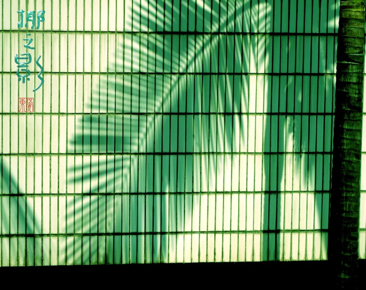 Palmtree on Wall