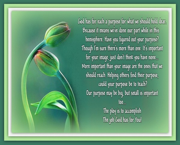Have You Figured Out Your....Purpose?