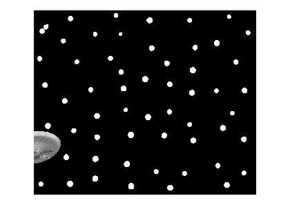 The Encounter